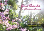 1 Thessalonians 5:18 - Give thanks in all circumstances.