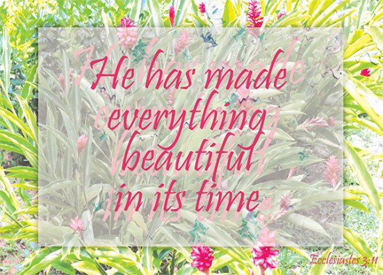 Ecclesiastes 3:11 - He has made everything beautiful in its time. He has also set eternity in the human heart; yet no one can fathom what God has done from beginning to end.